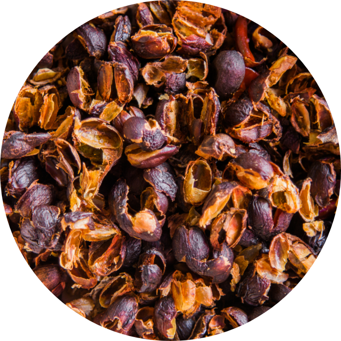 cascara_circle@2x cascara