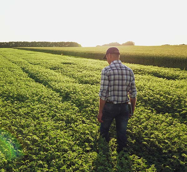 farmer-square farmer walking in green field