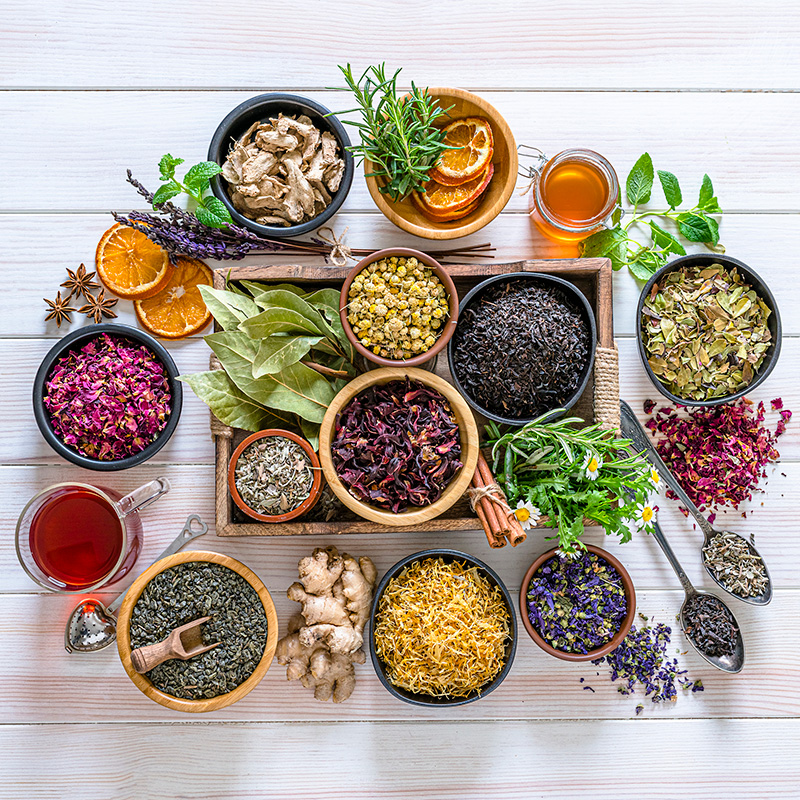 collection of herbs, florals, and other botanicals collection of herbs, florals, and other botanicals