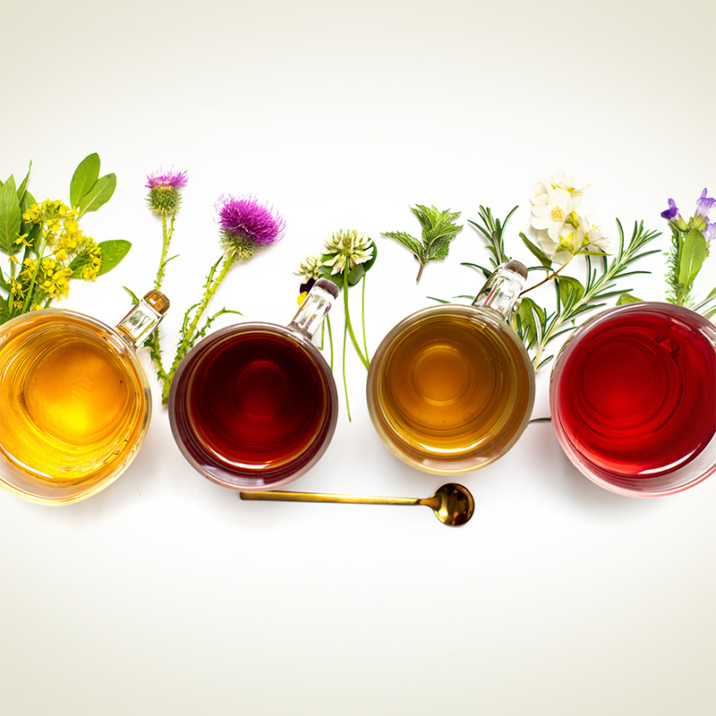 FFP-ColdBrew-Botanical01-3