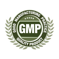 gmp