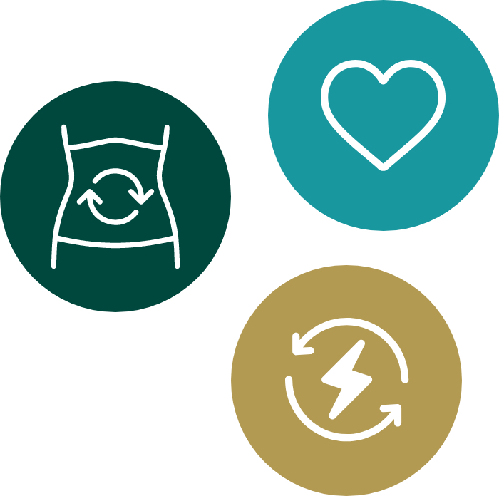 herbal_health_benefits_circles@2x beverage immunity stat circles