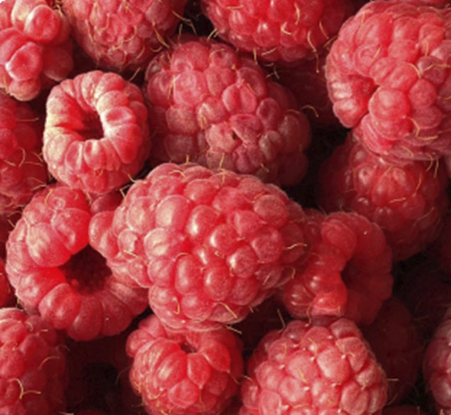 juicedry-raspberry close up of fresh red raspberries