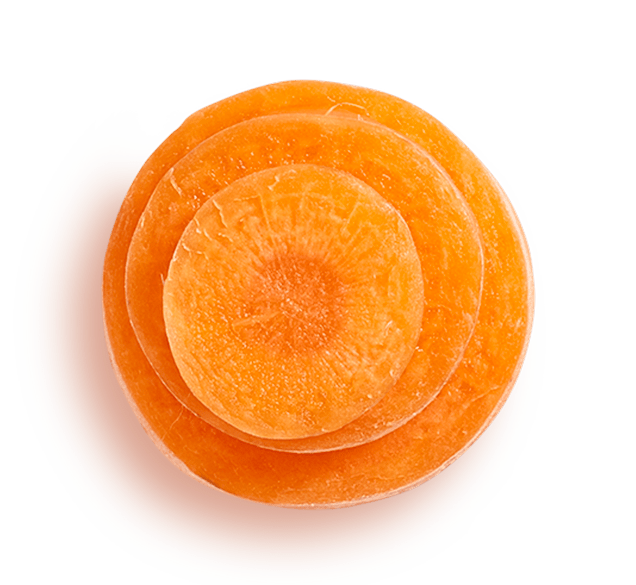 fermented-carrot stack of carrot slices view from top